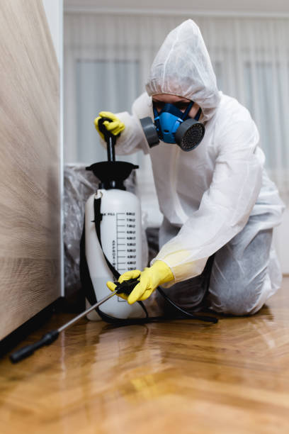 Best Fumigation Services  in Eldersburg, MD